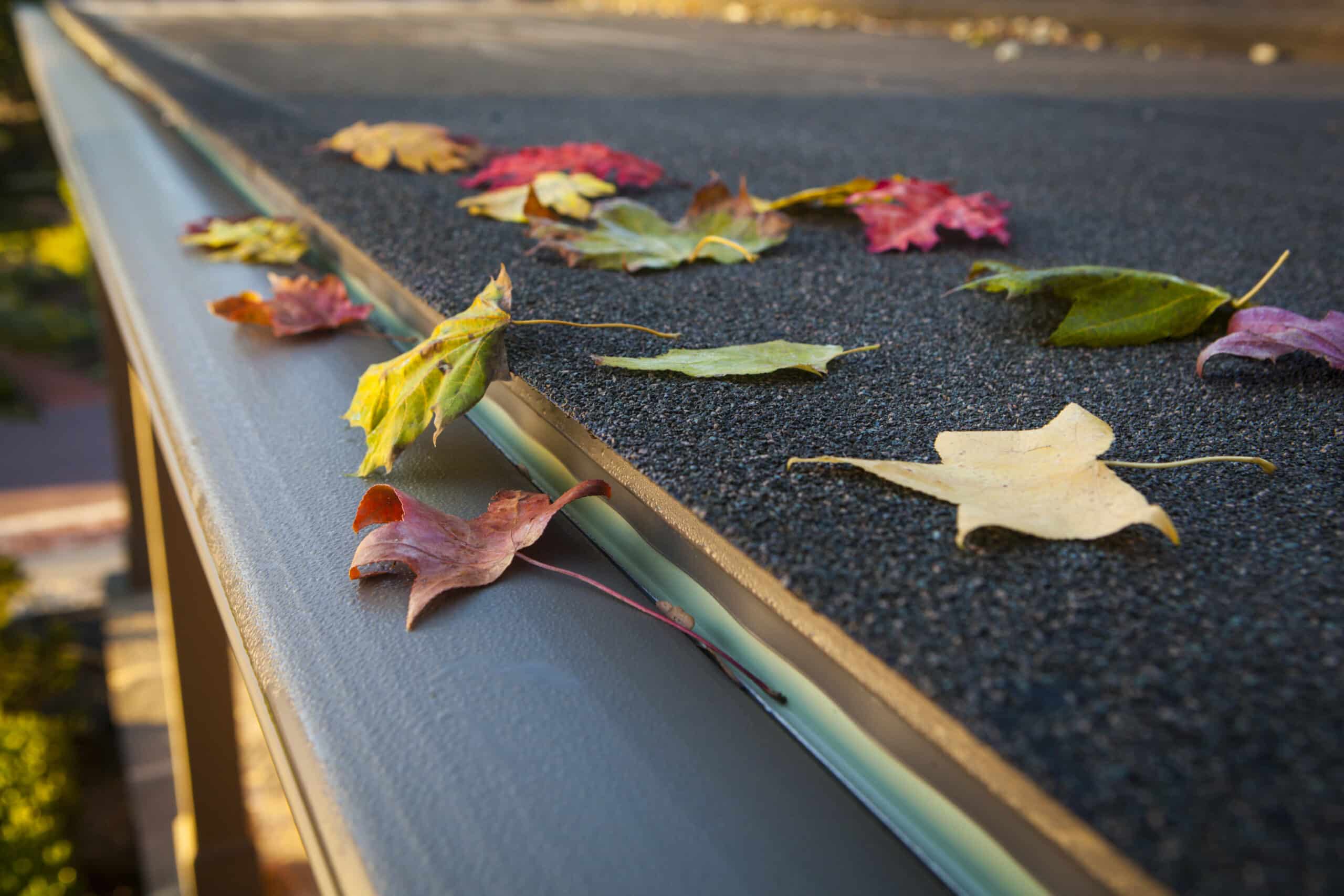 Guide to Fall Gutter Maintenance in Memphis