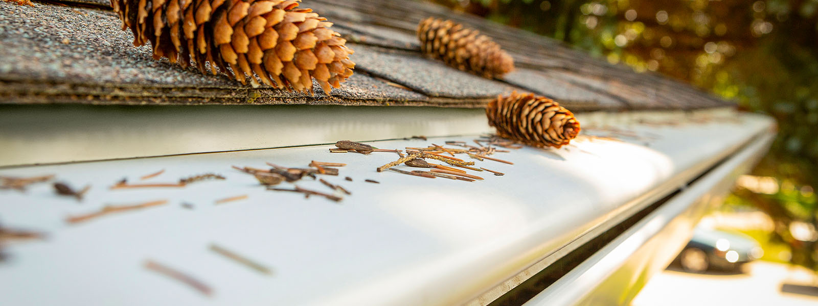 Top 5 Things To Consider When Getting A Gutter Guard Installation